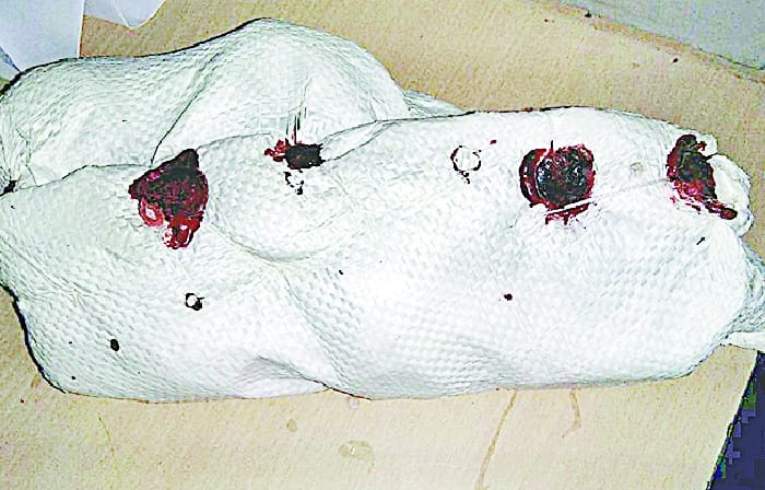 10 crude bombs were found in the house