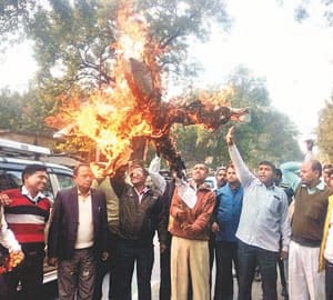 fizz in lalganj