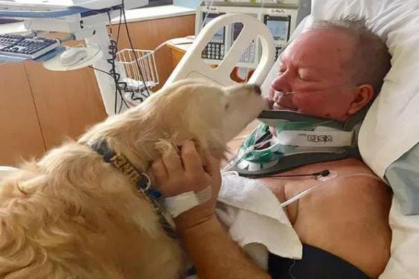 The dog was lying on owners body till 24 hours, saved lives