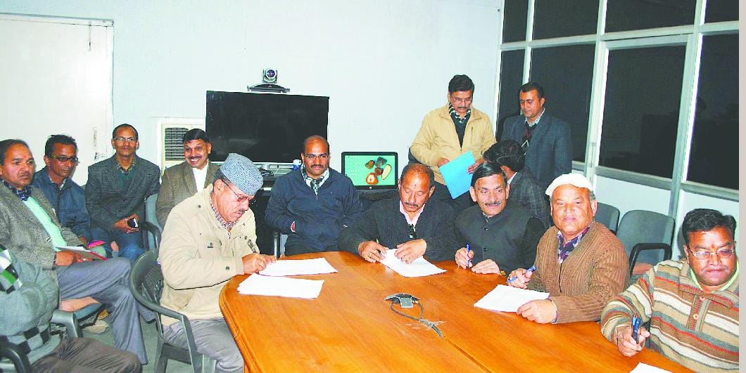 Doing computer personnel Feeding