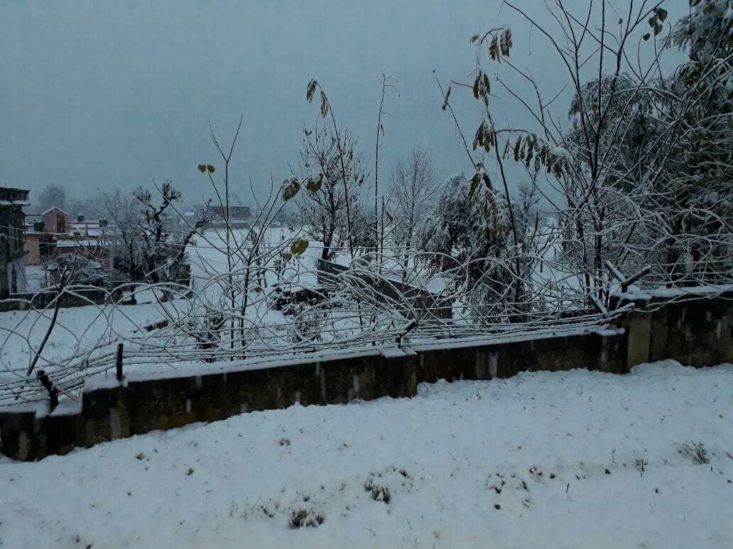 beautiful pictures of kashmir snowfall last night