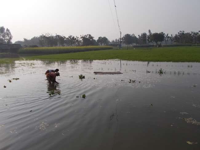 Overflow canal was inundated farmland