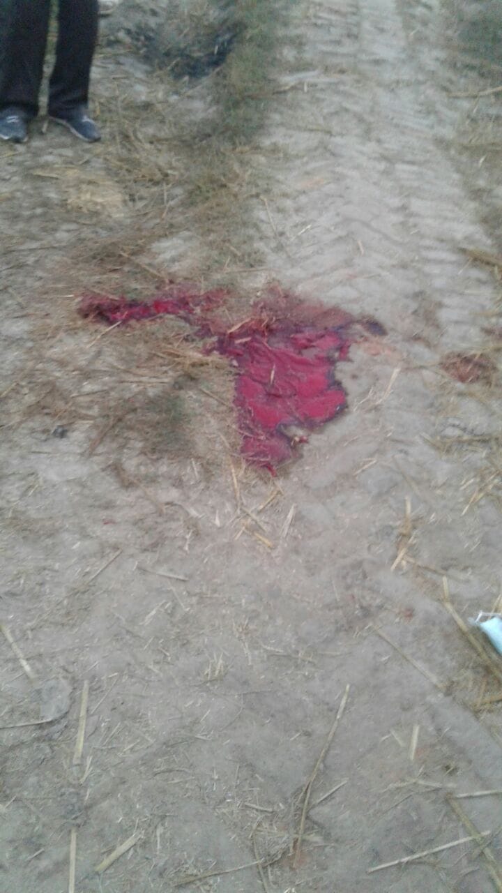 Women killed in kanpur dehat