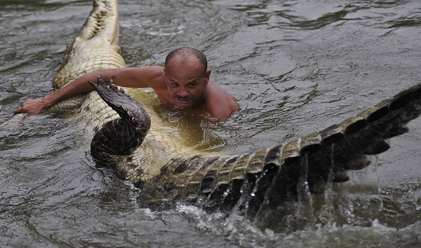 a man and a crocodile friendship