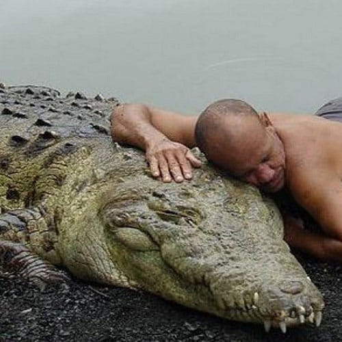 a man and a crocodile friendship