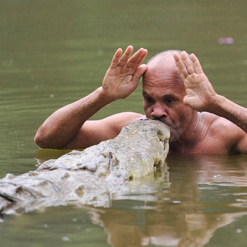 a man and a crocodile friendship