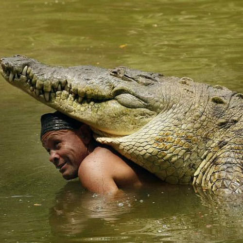 a man and a crocodile friendship
