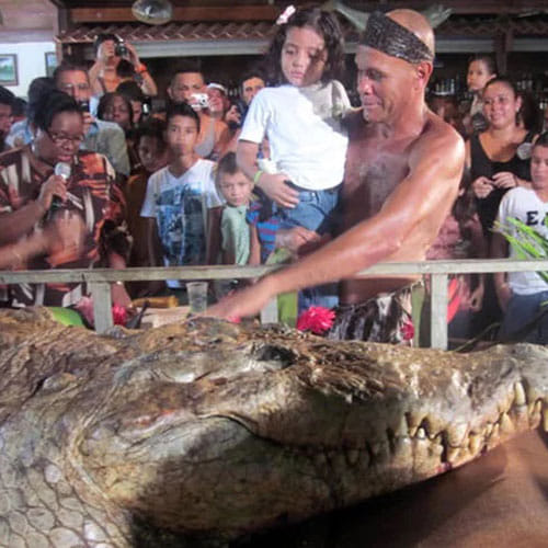 a man and a crocodile friendship