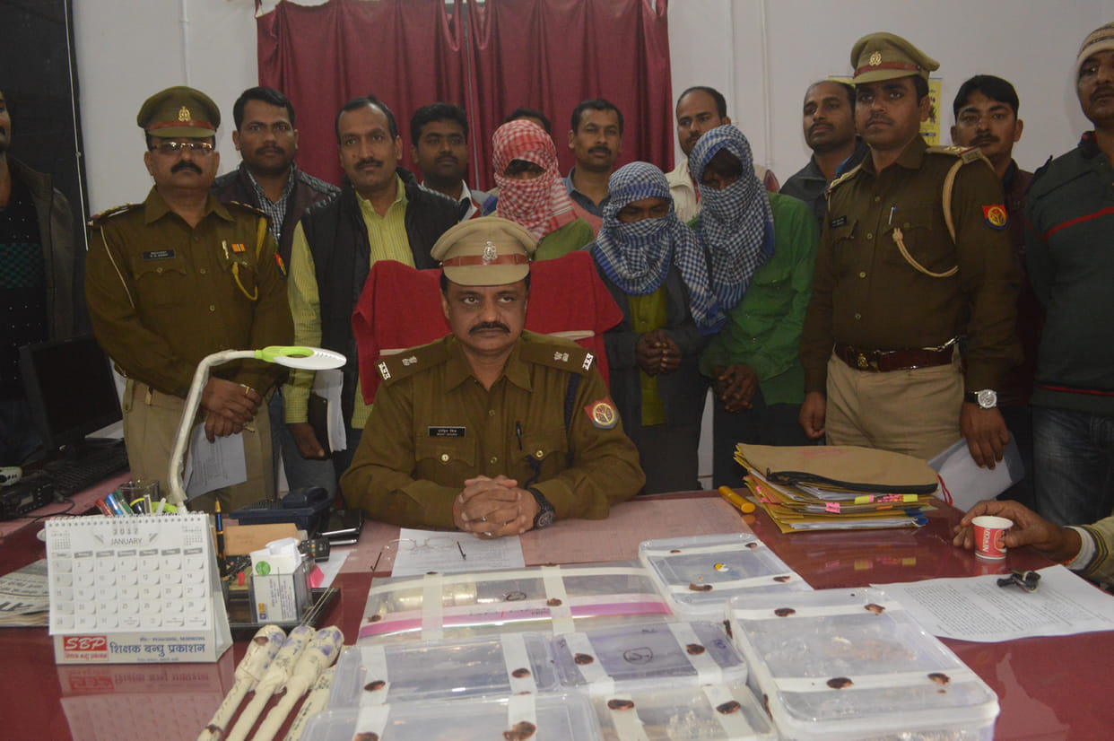 Shahazhanpuria gang of three thieves were arrested
