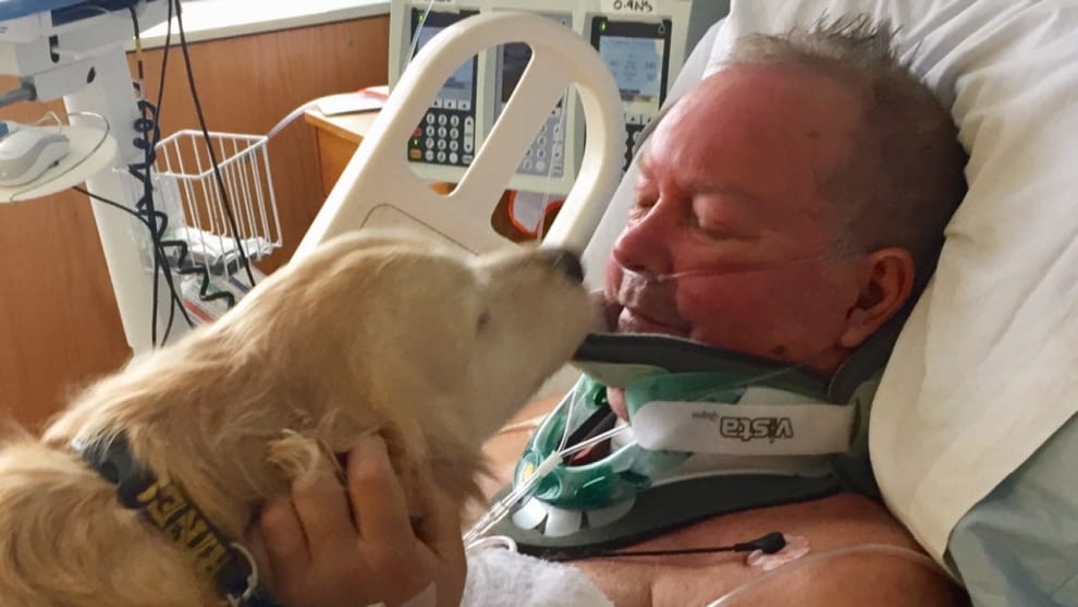 Dog saves it owners life