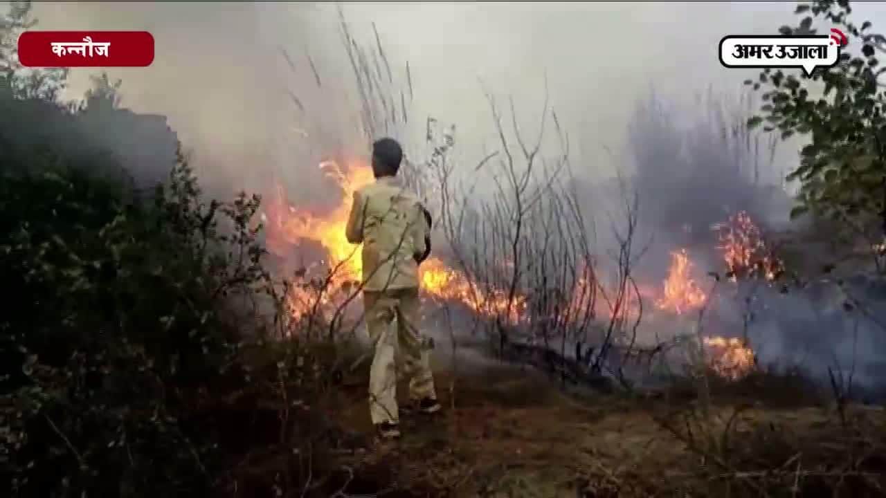 चिंगारी ने भड़काई खेतों में आग, मचा हड़कंप