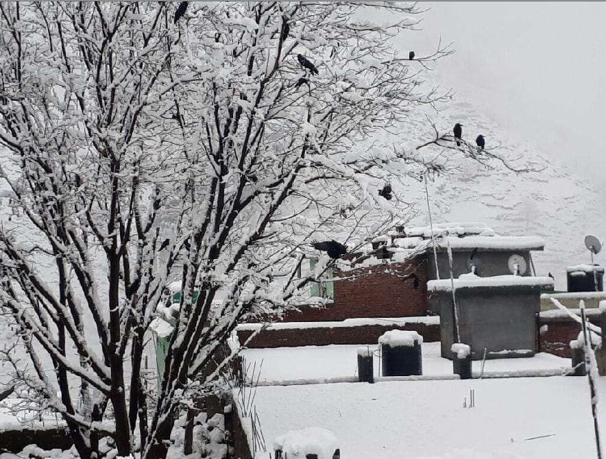 images of fresh snowfall in jammu and kashmir