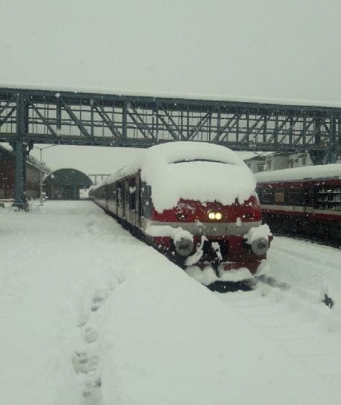 images of fresh snowfall in jammu and kashmir