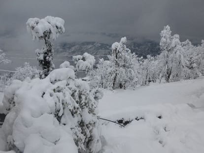 main highway of uttarakhand block due to heavy snowfall