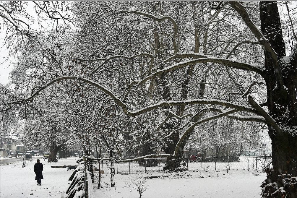 heavy snowfall in kashmir valley train service stopped