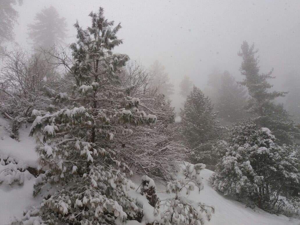 uttarakhand temperature down due to snowfall and rain