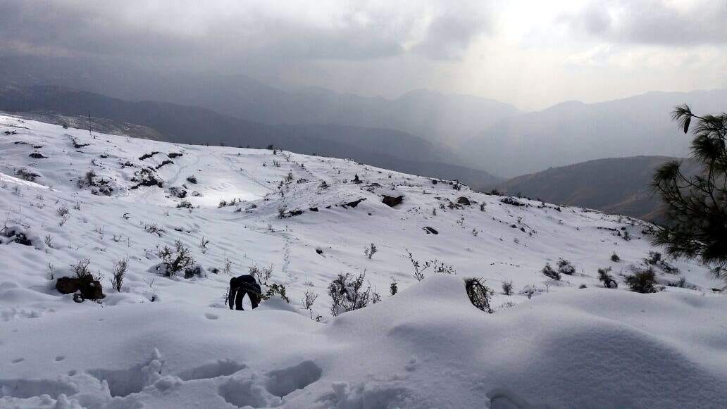 snowfall again in all hilly areas
