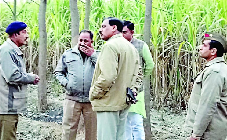 The same daughter's killer identified