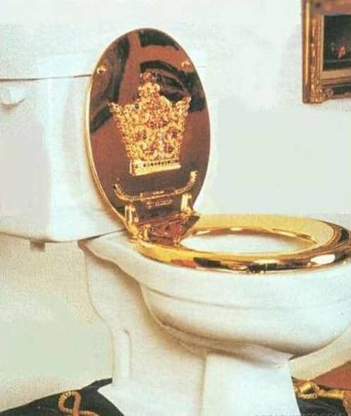 113 toilet find in unused condition