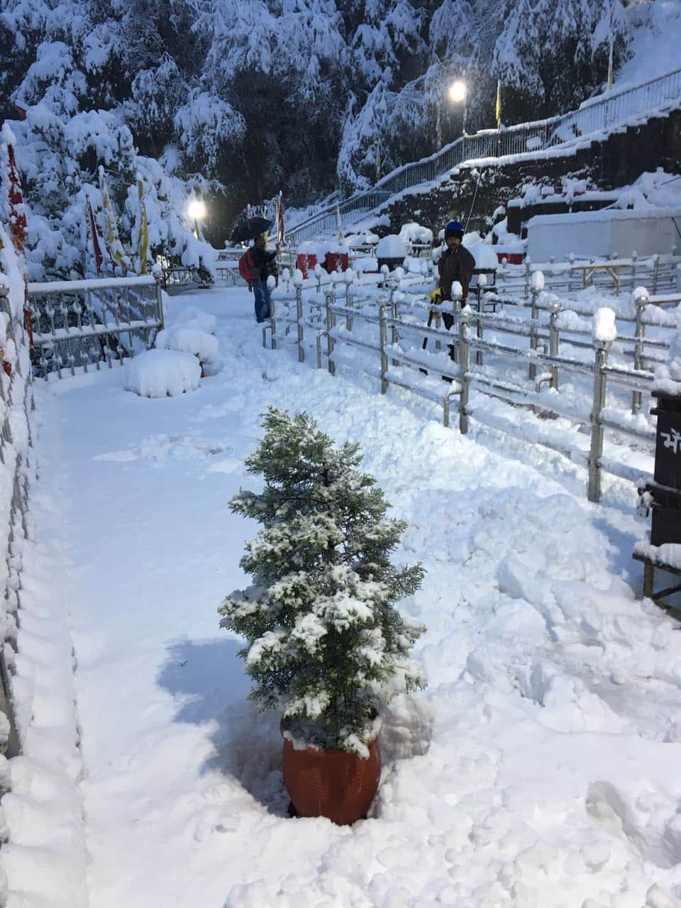 vaishno devi battery car track and choppar facility closed due to rain and snowfall