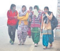 weather, cold, temprature, kaithal