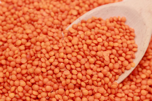astrology food according to days 