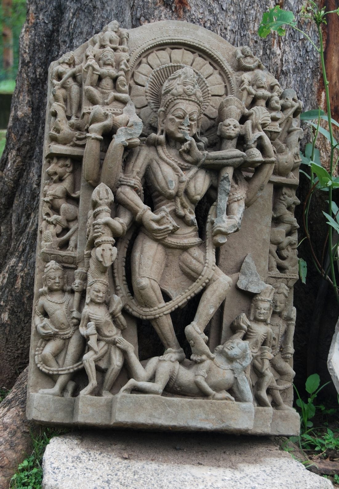Gurukul Kangri University erupted when the sculptures Committee