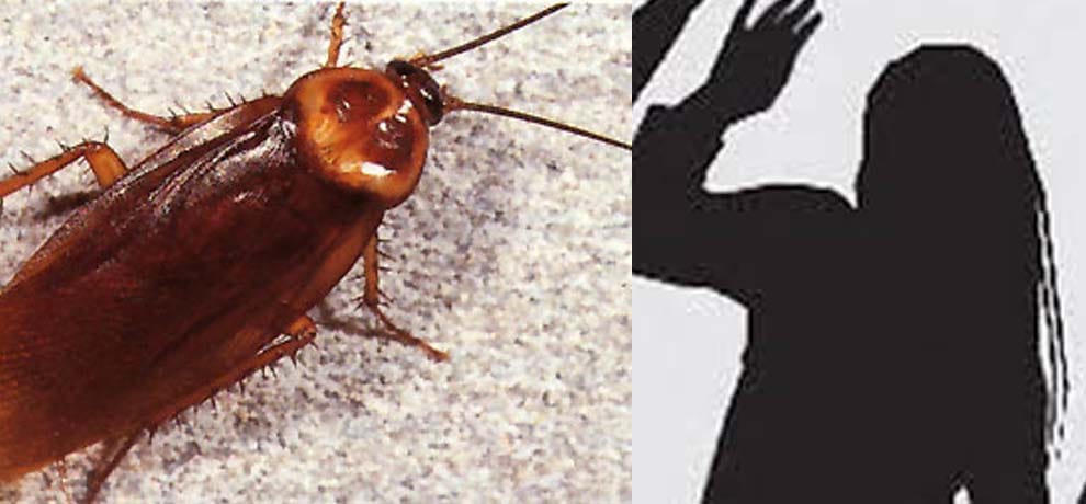 husband used cockroach to scare his wife then do forcefully sex with her in bengaluru