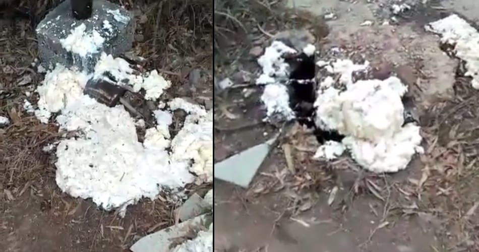 400 kg ghee floated in severage at rohtak of haryana