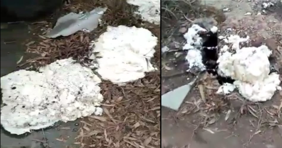 400 kg ghee floated in severage at rohtak of haryana