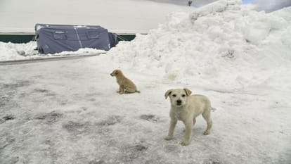 Avalanche in Italy, 30 missing, many buried in snow