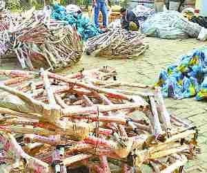 140 cycles found from Pradhan's place