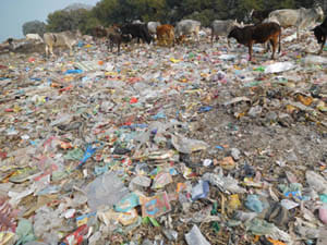 dumping ground lalitpur