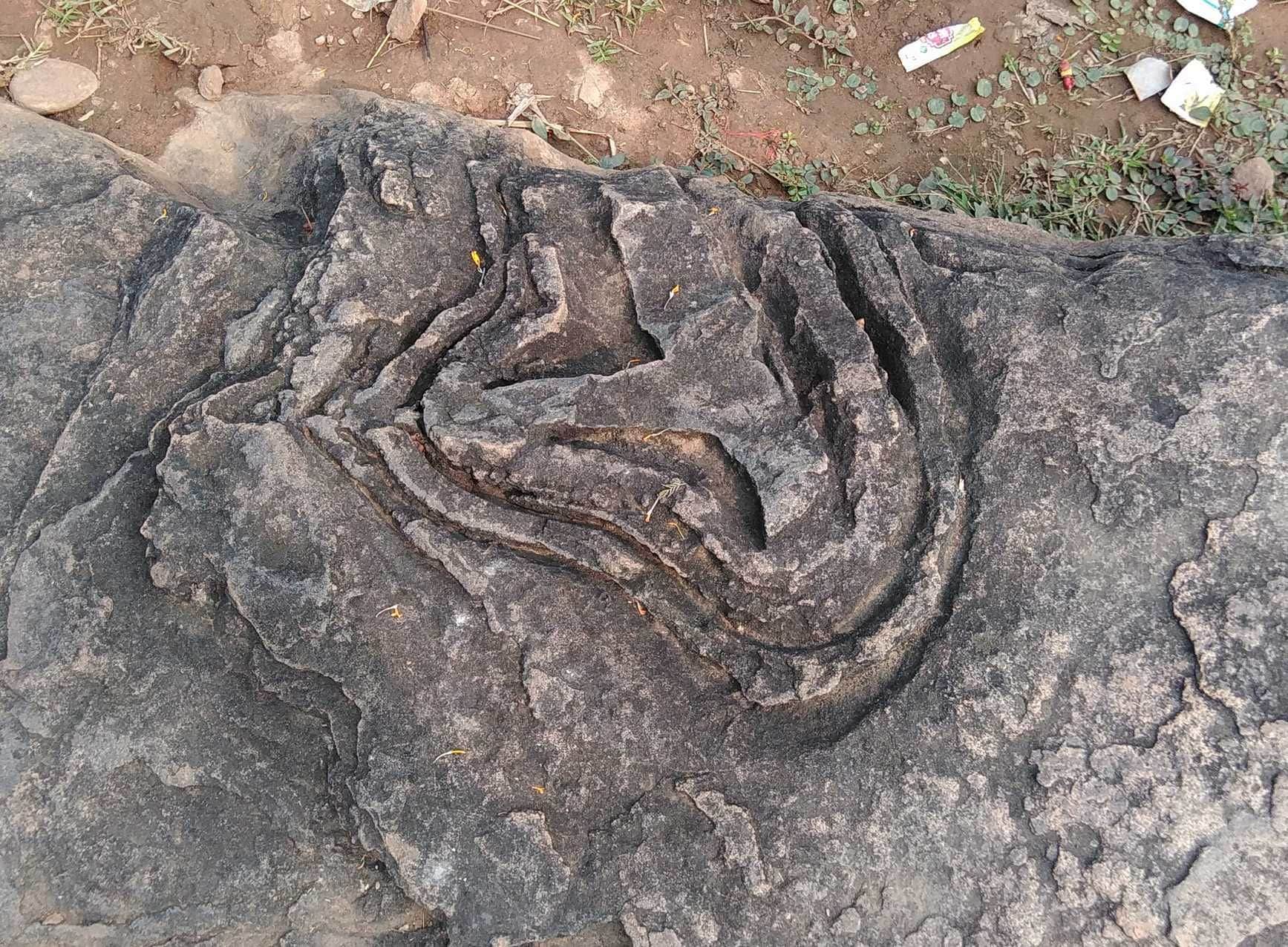 Sonebhadra Salkhan Fossils Park is one of the oldest fossils park of the world