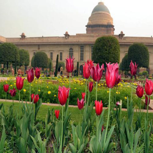 Vacancy For Gardner In rashtrapati Sachivalya
