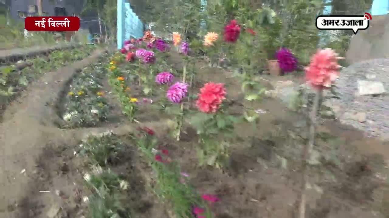मनोकामना पूरी करेगा नक्षत्र वाटिका का ये कल्पवृक्ष!