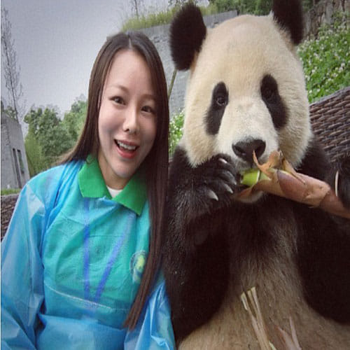 Panda In China Is Famous For His Photogenic Face And Clicking Photos