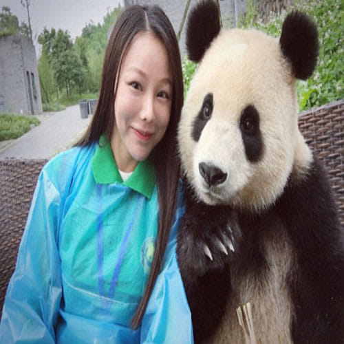 Panda In China Is Famous For His Photogenic Face And Clicking Photos