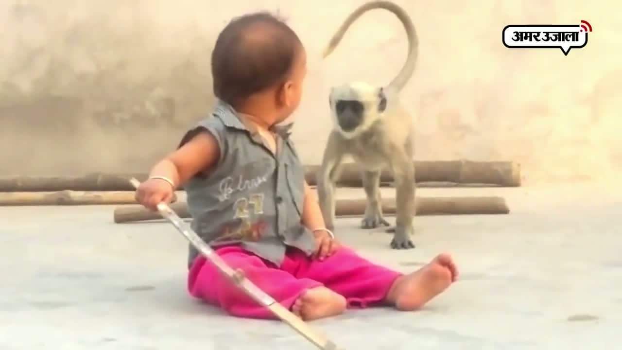 वायरल वीडियो