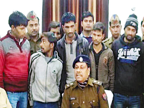 Six vicious thief arrested
