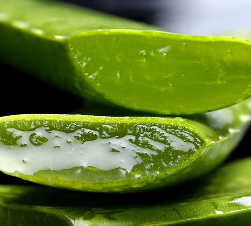 get rid of leucoderma at home easily