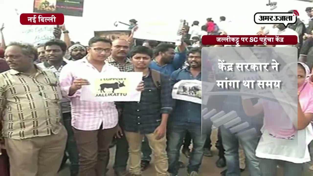 जल्लीकट्टू