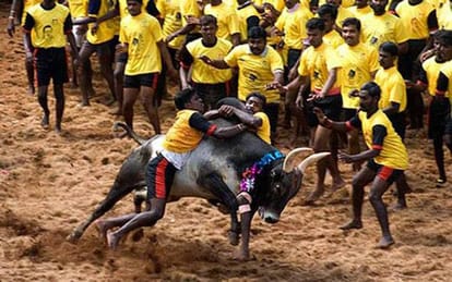 jallikattu: tamilnadu will remain shut today, a r rahman announce fast