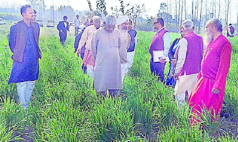 More production at lower cost