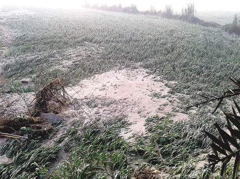 Minor crop acres, hundreds of bursts