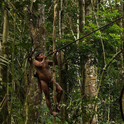 Tribals In South America Wears No Cloth And Live In complete Isolation