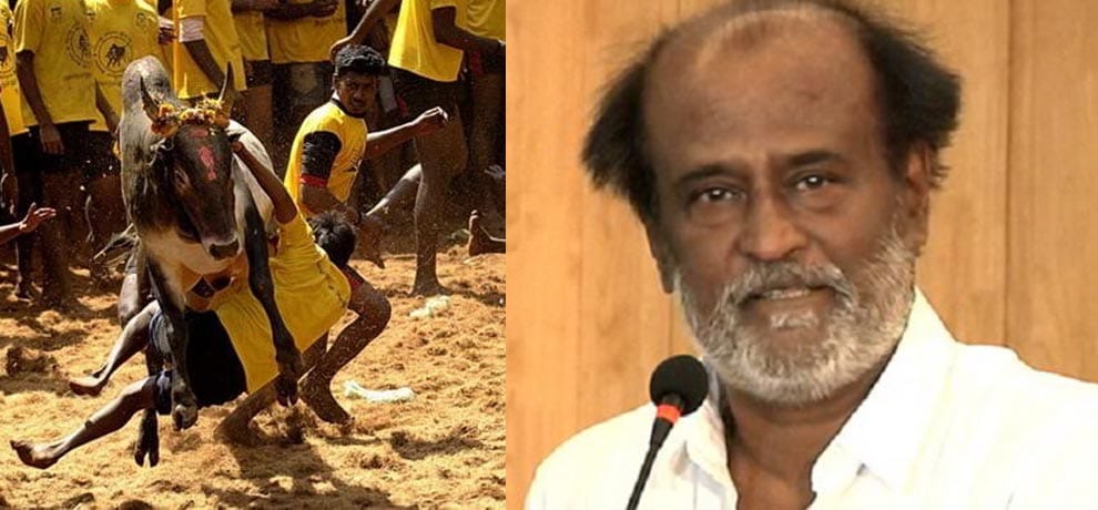  live: massive protest over jallikattu across tamilnadu, paneerselvam assures protesters