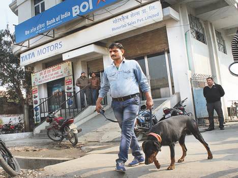 Bank robbery attempt