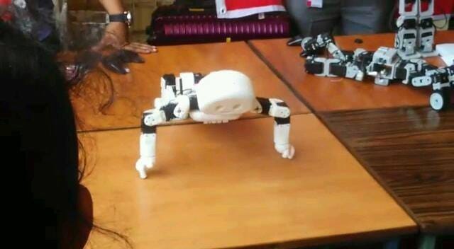 Manav is the India's first 3D printed robot, capable of walking & dancing.