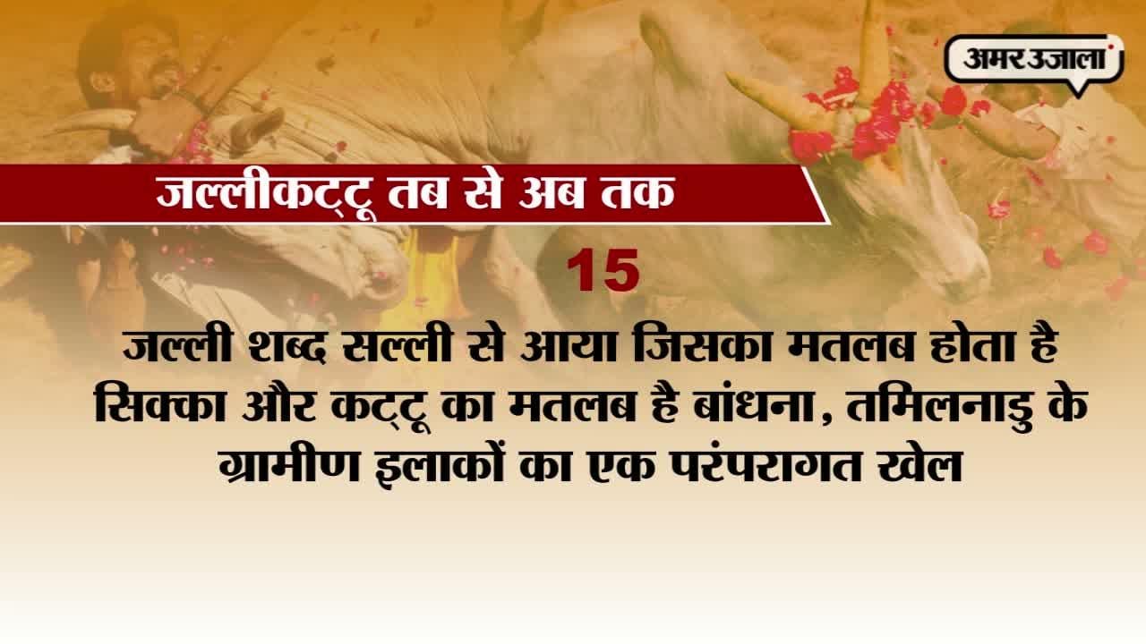 जल्लीकट्टू